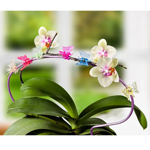 6 Clipsuri pentru plante Fluture