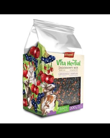 VITAPOL Vita Herbal hrana suplimentara pentru rozătoare și iepuri, pe baza de plante, Mix de afine 200 g