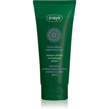 Ziaja Herbal șampon pentru păr gras 200 ml