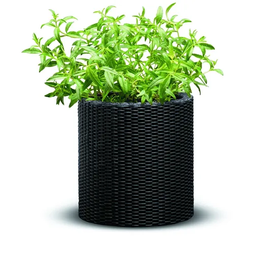 Jardinieră din plastic Keter Ratan, antracit, 28 x28 x 28,3 cm, gri
