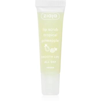 Ziaja Tropical Pineapple exfoliant din zahar de buze 12 ml