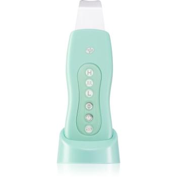 RIO Ultrasonic Facial Ultrasonic Facial dispozitiv de curatare a fetei Mint 1 buc