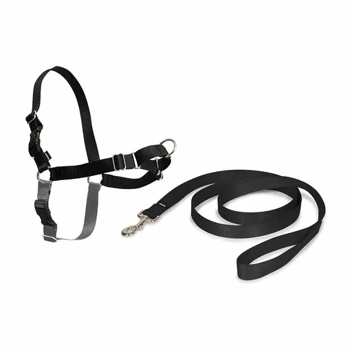 PetSafe Hamăi EasyWalk negru S