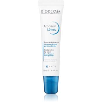 Bioderma Atoderm Lip Balm balsam regenerator pentru buze uscate 15 ml