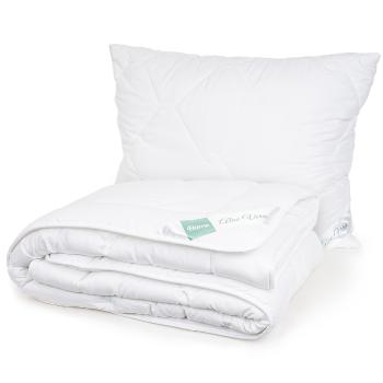 Set pilotă și pernă 4Home Aloe Premium , 140 x220 cm, 70 x 90 cm, 140 x 220 cm, 70 x 90 cm