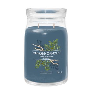 Yankee Candle Lumânare aromatică Signature sticlă mare Bayside Cedar 567 g