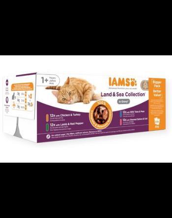 IAMS Delights Adult All Breeds Land&amp;Sea In Gravy 48 x 85 g set hrana pentru pisici