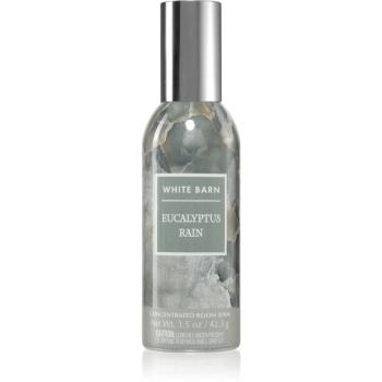 Bath & Body Works Eucalyptus Rain spray pentru camera 42,5 g