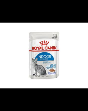 ROYAL CANIN Indoor Sterilised în aspic 12 x 85 g