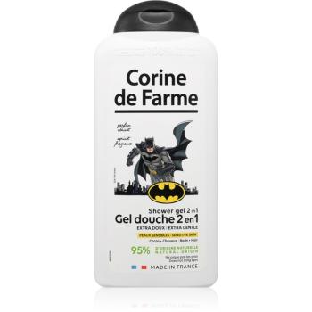 Corine de farme Shower Gel 2 in 1 Batman gel de duș 2 in 1 300 ml