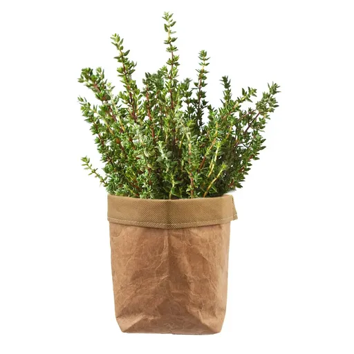 Husă pentru ghiveci de flori