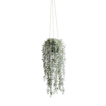 FLORISTA eukaliptusz felakasztható cserépben 65 cm