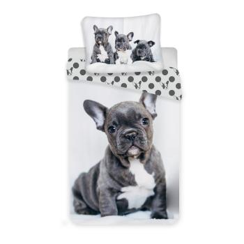 Lenjerie de pat Jerry Fabrics Bulldog, de copii, din bumbac,140 x 200 cm, 70 x 90 cm