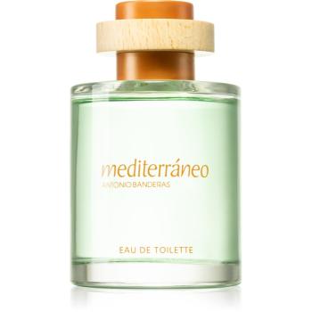 Banderas Meditteráneo Eau de Toilette pentru bărbați 100 ml