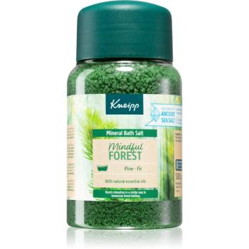 Kneipp Mindful Forest sare de baie 500 g