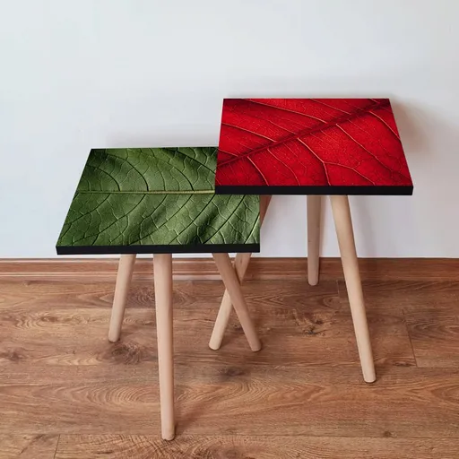 Set masute 2 piese, Hanah Home, 2Shp420, Verde/Roșu