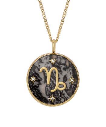 Fossil Colier placat cu aur cu simbolul zodiacal Capricorn Written in the Stars JF04847710