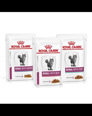 ROYAL CANIN Renal Feline Mix de arome 36 x 85 g