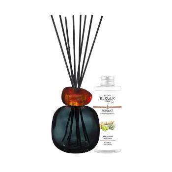 Maison Berger Paris Set cadou difuzor de arome Mineral Black + reumplere Wilderness 180 ml