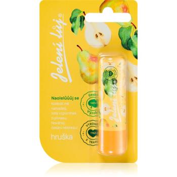 Regina Juicy Summer Pear balsam de buze 4,5 g