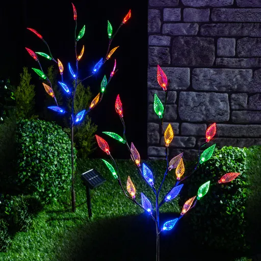 Gravura solară „Frunze”