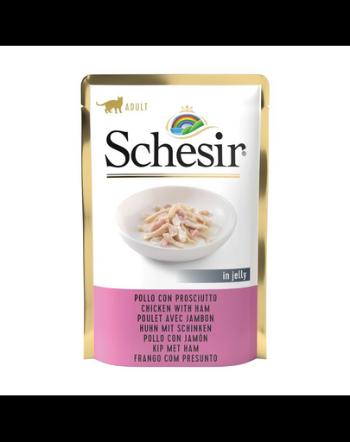 SCHESIR Jelly Adult Chicken Fillets&amp;Ham 85g hrana pisica, file de pui si sunca in aspic