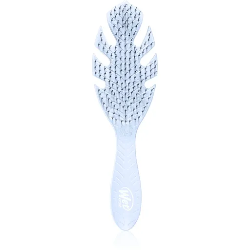 Wet Brush Go Green perie de par Lavender