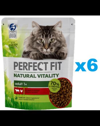 PERFECT FIT Natural Vitality 1+ 6x650 g vita si pui hrana pisici