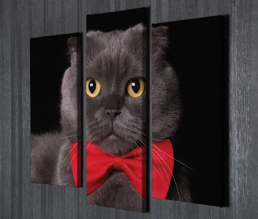 Tablou decorativ, UC57, 45 x 20 cm, Multicolor