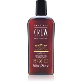 American Crew 3 in 1 Ginger + Tea 3 v 1 šampon, kondicionér a sprchový gel pro muže 250 ml