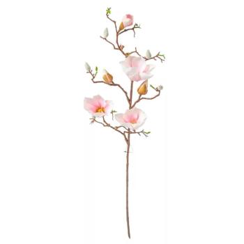 Magnólia 3 ágú 80 cm - rózsaszín