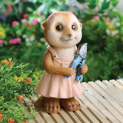 Suricat-grădinar Luce