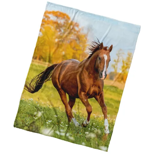 Pătură din microfibră BedTex Caipe pajiște, 150 x 200 cm