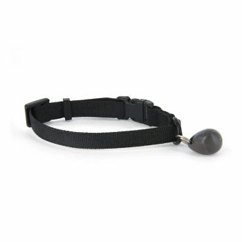 PetSafe® Staywell Cheie magnetică pentru zgardă