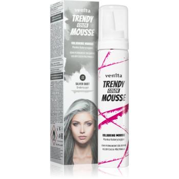 Venita Trendy Color Mousse vopsea de par sub forma de spuma fără amoniac culoare No. 11 - Silver Dust 75 ml