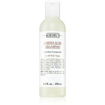 Kiehl's Amino Acid Shampoo șampon cu ulei de nucă de cocos pentru toate tipurile de păr 250 ml