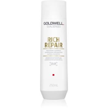 Goldwell Dualsenses Rich Repair șampon regenerator pentru păr uscat și deteriorat 250 ml