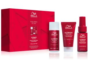 Wella Professionals Set cadou Ultimate Repair Mini