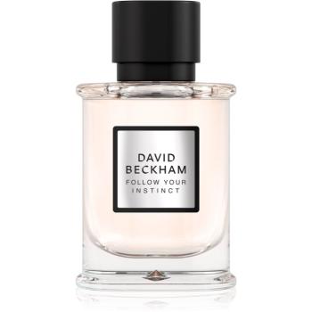 David Beckham Follow Your Instinct Eau de Parfum pentru bărbați 50 ml