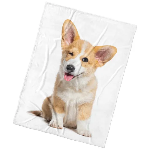 Pătură din microfibră BedTex Maiestatea sa Câinele, 150 x 200 cm