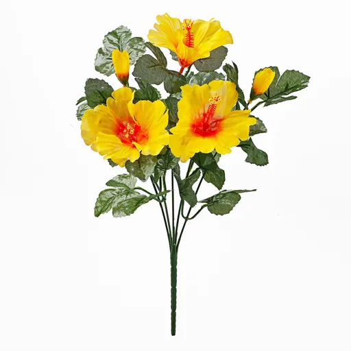Buchet de hibiscus
