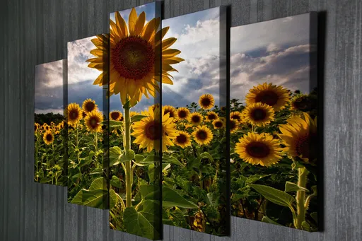 Tablou decorativ, BC039, 70 x 20 cm, Multicolor