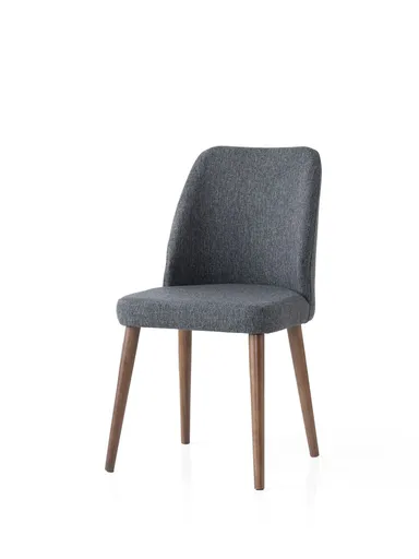 Set scaune 2 piese, Hanah Home, Luna, Antracit