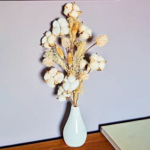 1 crenguță de lemn de bumbac