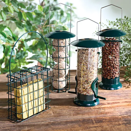 4 hrănitoare pentru păsări