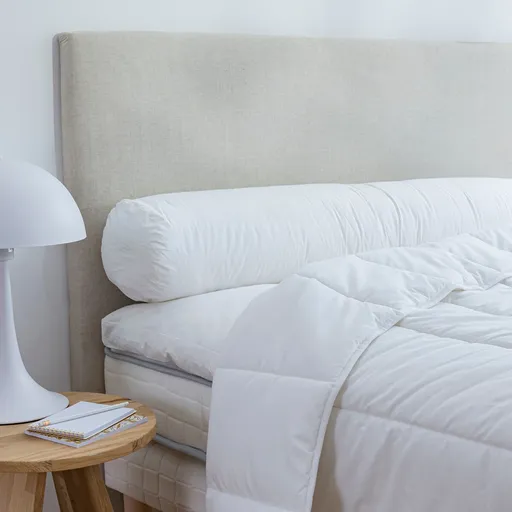 Rolă cu strat antiacarian Proneem, dură