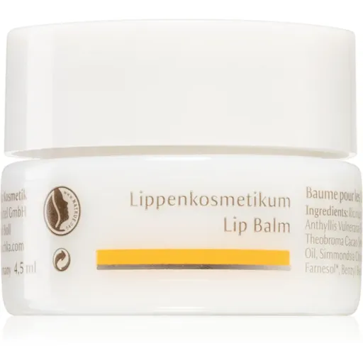 Dr. Hauschka Eye And Lip Care balsam de buze cu efect de nutritiv 4.5 ml