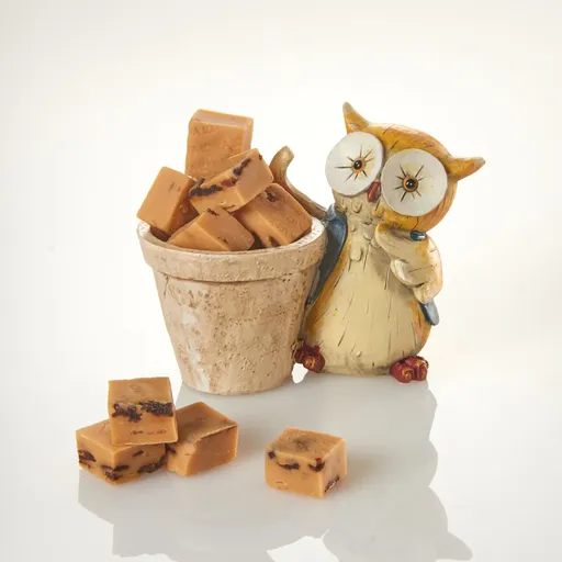 Bufniță de cratiță cu fudge de vanilie