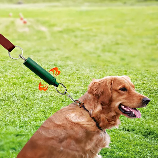 Ajutor pentru formare