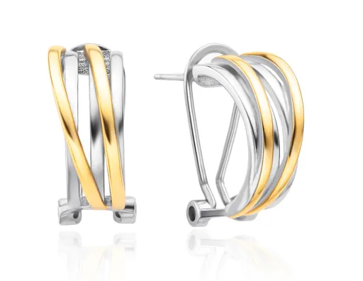 Agato Cercei eleganți bicolori cu zircon AGT-E122KK-2T